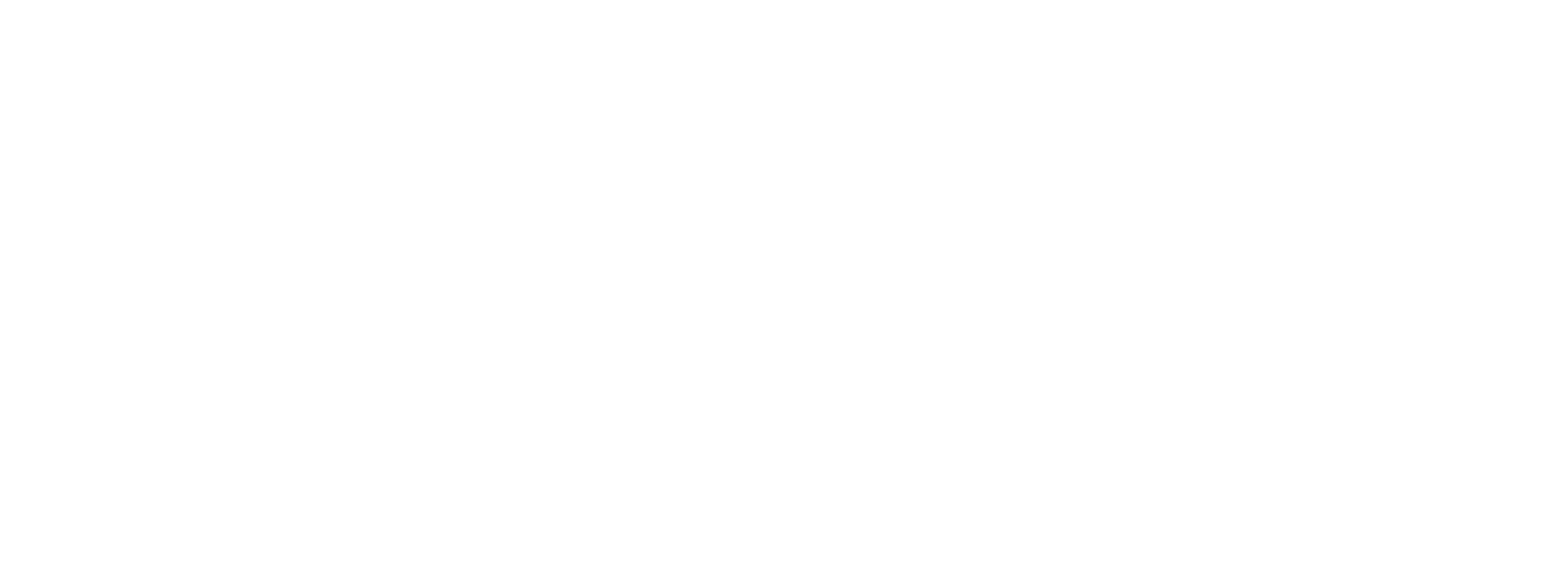 Vivenzza Store